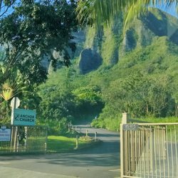 Anchor Church - Entrance - drive through the open gate
