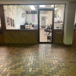 Lox Salon