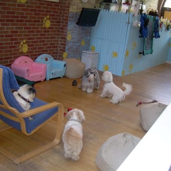 Spock & Elvis - Come on by and have Poochie hang out in our "stomper room"! - Pet Groomers Near Me - Great Neck, New York Spock & Elvis - Come on by and have Poochie hang out in our "stomper room"! - Pet Groomers Near Me - Great Neck, New York