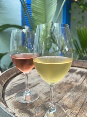 Paradise Grapevine by null