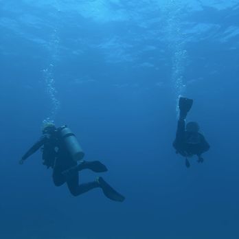 Island Divers - Scuba Diving Near Me - Honolulu, Hawaii Island Divers - Scuba Diving Near Me - Honolulu, Hawaii