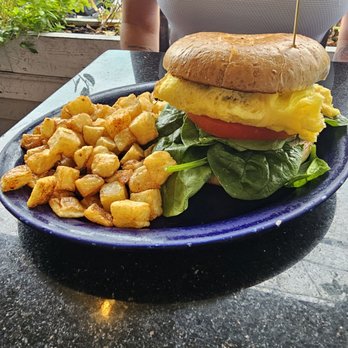 Breakfast Club Too - Veggie Egg Sandwich on Bagel w/ Homefries - Breakfast & Brunch Near Me - Key West, Florida Breakfast Club Too - Veggie Egg Sandwich on Bagel w/ Homefries - Breakfast & Brunch Near Me - Key West, Florida