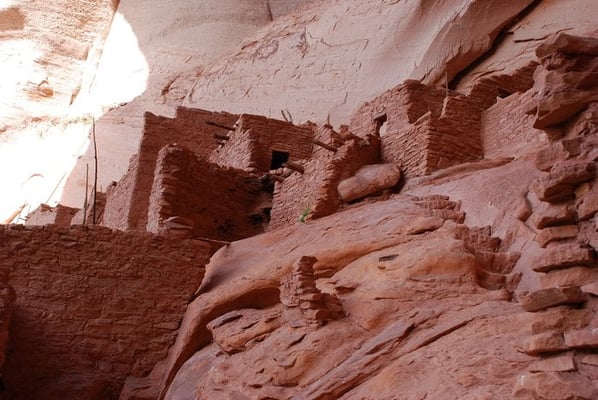 Navajo National Monument by null