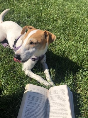 Worcester Polytechnic Institute by null