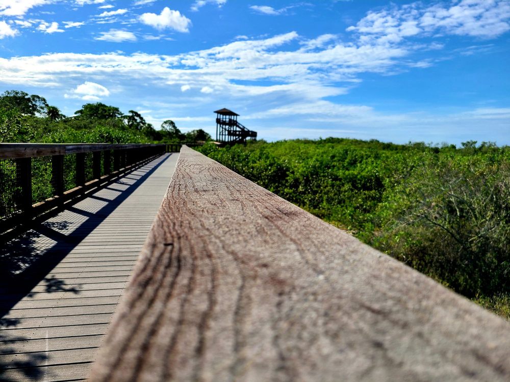 BOCA CIEGA MILLENNIUM PARK Updated July 2024 132 Photos & 24