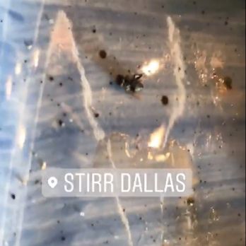 STIRR - First time I went there, the waitress kill roach on the front of us.... They gave us free beer .... - Cocktail Bars Near Me - Dallas, Texas STIRR - First time I went there, the waitress kill roach on the front of us.... They gave us free beer .... - Cocktail Bars Near Me - Dallas, Texas