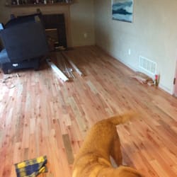 LL Flooring - West Columbus - Eucalyptus flooring