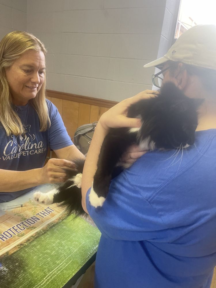 CAROLINA VALUE PET CARE Updated August 2024 115 Photos Concord