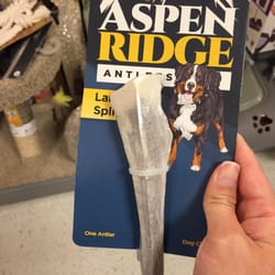 Tj Maxx - Affordable dog things