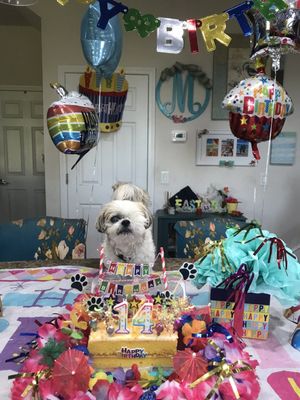 Publix Super Market at Collier Commons by null