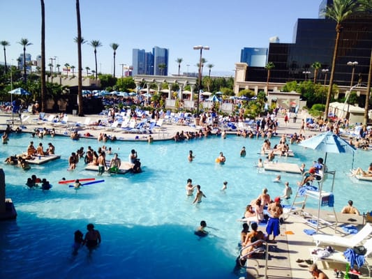 The Oasis Pool by null