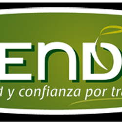 Brenda's - LOGO