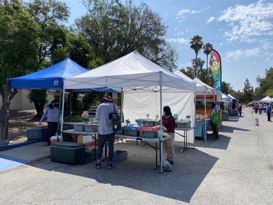 Berryessa Farmers' Market by null