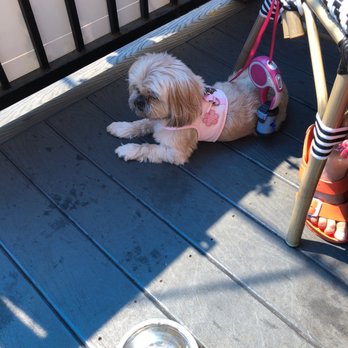 Caffe Concerto - Dog friendly - Pizza Near Me - Los Angeles, California