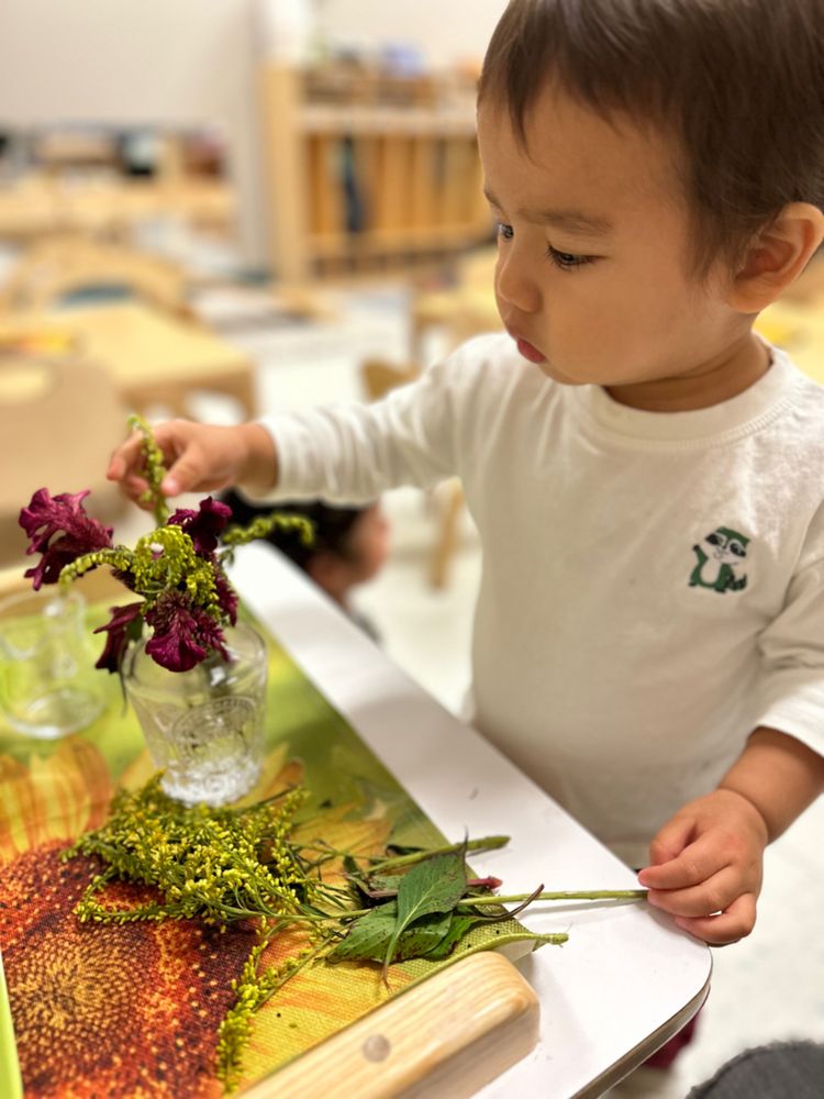 Williamsburg Montessori - childcare center in Brooklyn, NY