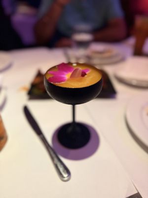 Bombay Darbar by null Bombay Darbar by null