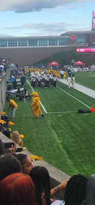 Harvard Stadium by null