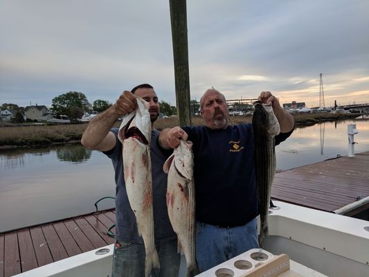 Wots Up Dock Charter Fishing
