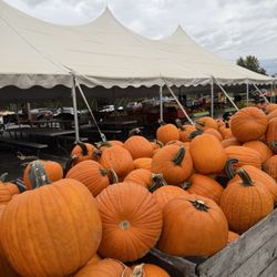 Huber's Orchard & Winery