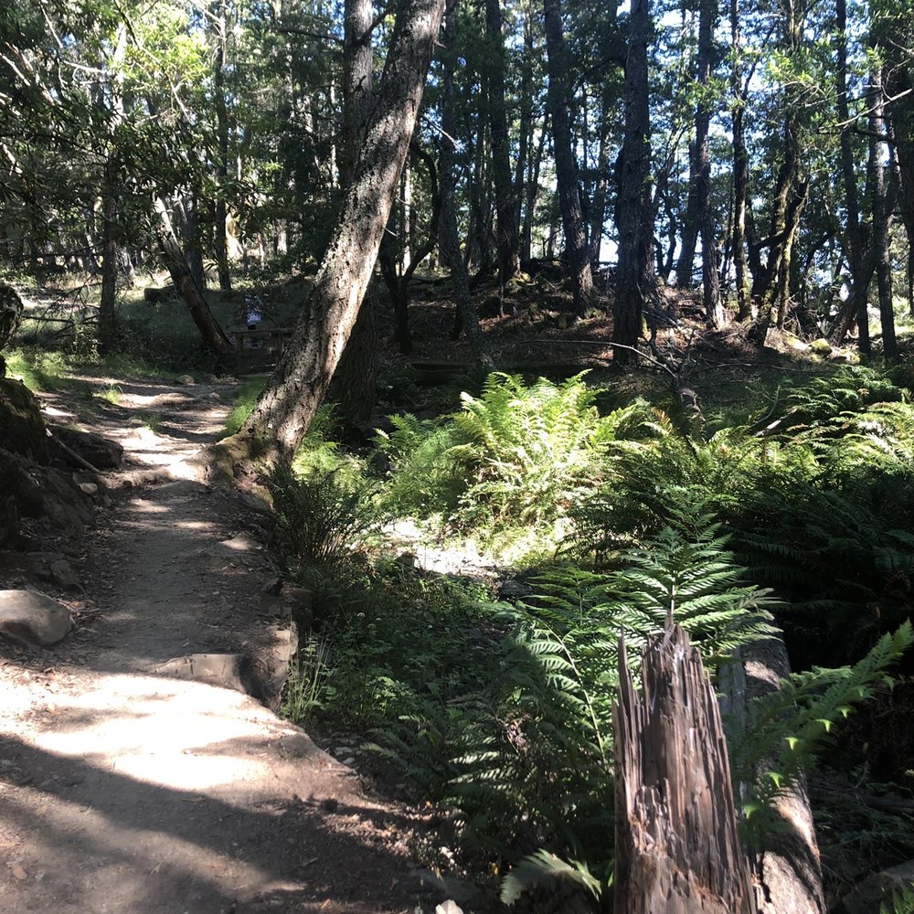 Cataract Falls Trail - Hiking Near Me Cataract Falls Trail - Hiking Near Me
