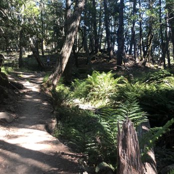 Cataract Falls Trail - Hiking Near Me Cataract Falls Trail - Hiking Near Me