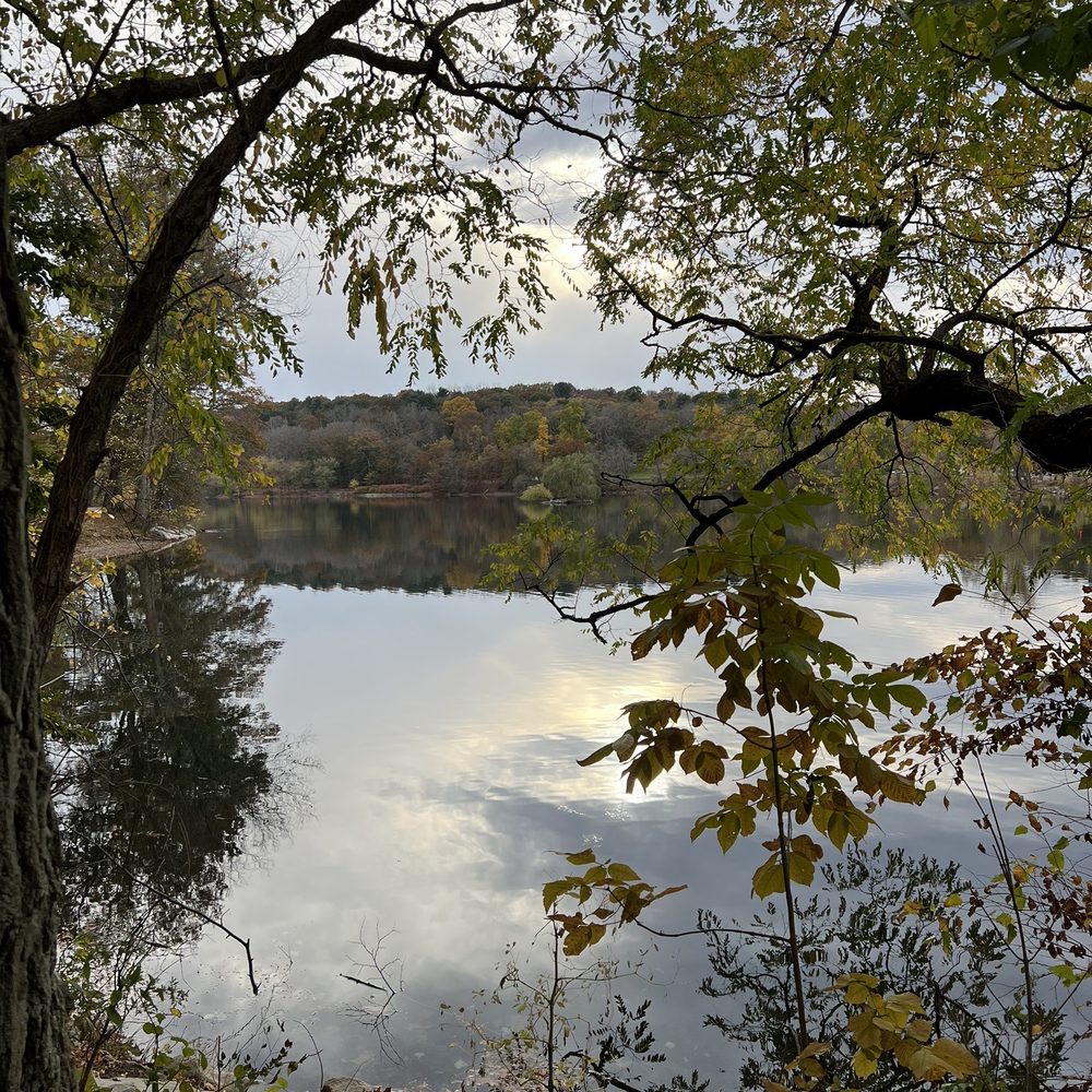 Jamaica Pond - Pond - Parks Near Me - Jamaica Plain, Massachusetts Jamaica Pond - Pond - Parks Near Me - Jamaica Plain, Massachusetts