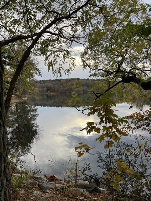 Jamaica Pond Park by null