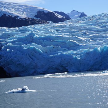 Alaska's Finest Tours & Cruises - Tours Near Me - Anchorage, Alaska Alaska's Finest Tours & Cruises - Tours Near Me - Anchorage, Alaska