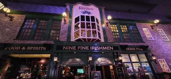 Nine Fine Irishmen by null
