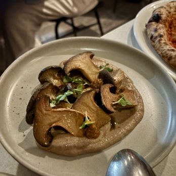 Walrus Rodeo - trumpet mushrooms - Italian Near Me - Miami, Florida Walrus Rodeo - trumpet mushrooms - Italian Near Me - Miami, Florida