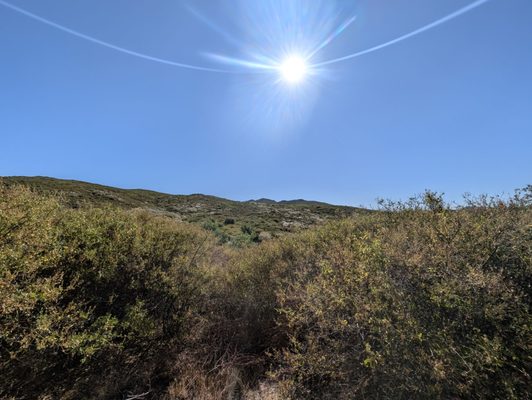 Noble Canyon Trailhead by null