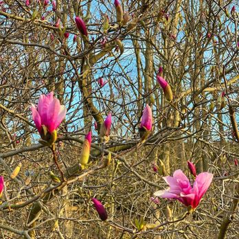 Shalooby Loofer Brewing - Breweries Near Me - Clarence, New York Shalooby Loofer Brewing - Breweries Near Me - Clarence, New York