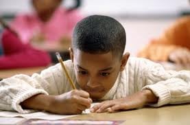 Seeds of Knowledge Tutoring - reading tutor in Palm Harbor, FL