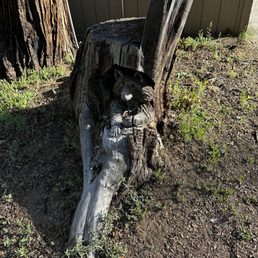Outside Outside