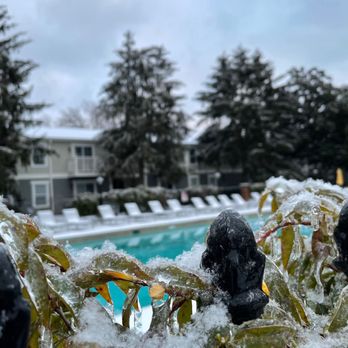 Chelsea Place Apts - Pool - Apartments Near Me - Murfreesboro, Tennessee