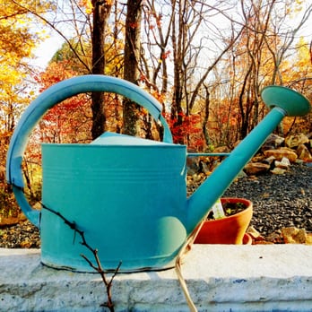 Cobbler Mountain Cider - Wineries Near Me - Delaplane, Virginia