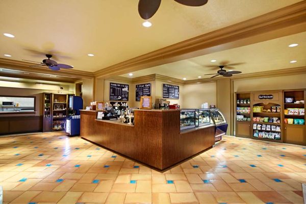 Ho olei at Grand Wailea by null
