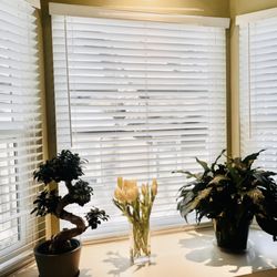 Venetian Blind Service Centre