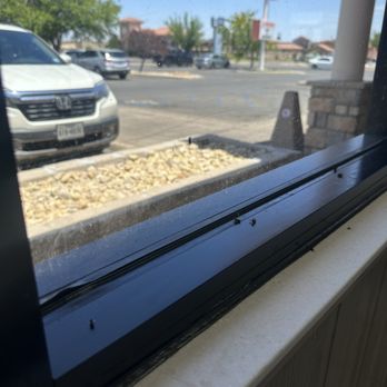 Whataburger - DEAD FLIES EVERYWHERE!! - Burgers Near Me - Roswell, New Mexico