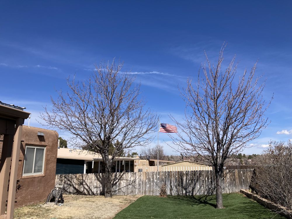 Holistic Tree Care - tree service in Santa Fe, NM