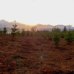 Liden Land Development and Excavation