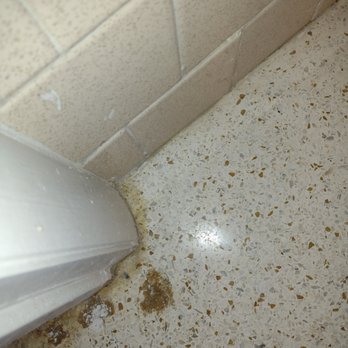 Elite Stone and Tile Care - Edges not done or cleaned - Flooring Near Me - Debary, Florida Elite Stone and Tile Care - Edges not done or cleaned - Flooring Near Me - Debary, Florida