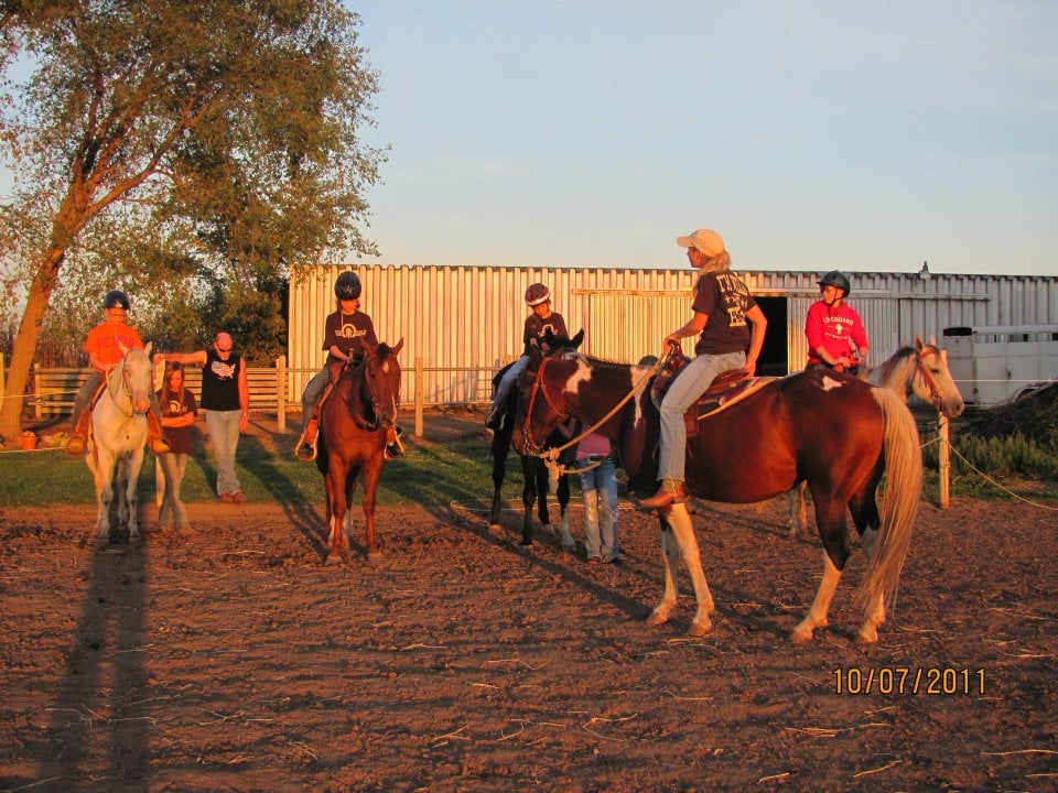 Shiloh Stables - equestrian in Decatur, IL