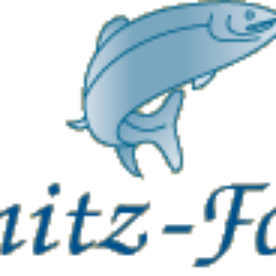 Löcknitz-Forelle