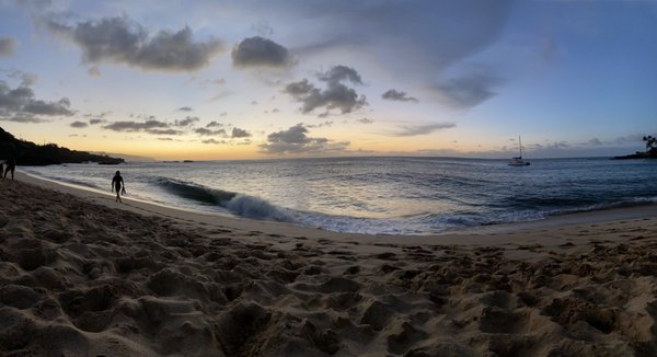 Waimea Bay by null