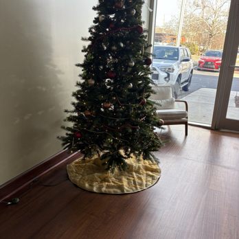 Delicious - Delicious'.  Christmas Tree. - Bakeries Near Me - Greensboro, North Carolina