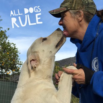 All Dogs Rule - Pet Training Near Me - Fillmore, California All Dogs Rule - Pet Training Near Me - Fillmore, California