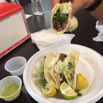 Mi Rancherito Mexican Restaurant - Luckyboy partaking some tasty, carne asada tacos. - Mexican Near Me - Payson, Utah Mi Rancherito Mexican Restaurant - Luckyboy partaking some tasty, carne asada tacos. - Mexican Near Me - Payson, Utah