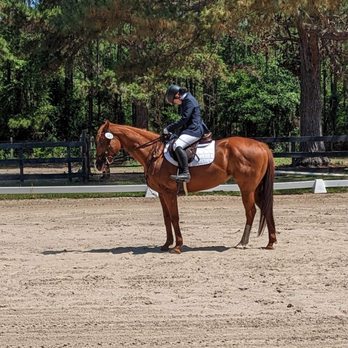 Moccasin Stables - Horseback Riding Near Me - Tallahassee, Florida