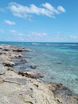 Club Med Cancún by null